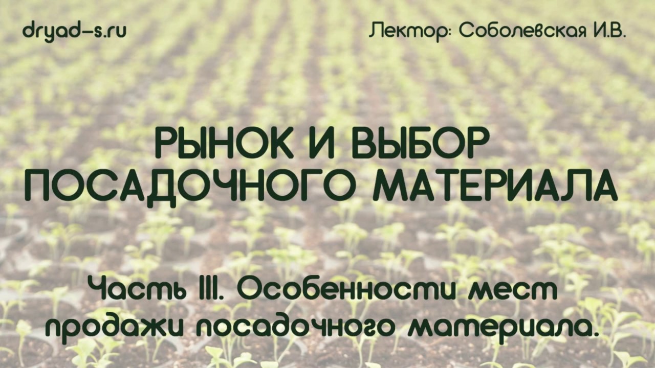 Особенности мест продажи посадочного материала | Вебинар 16.11 от студии «ДриадаС»