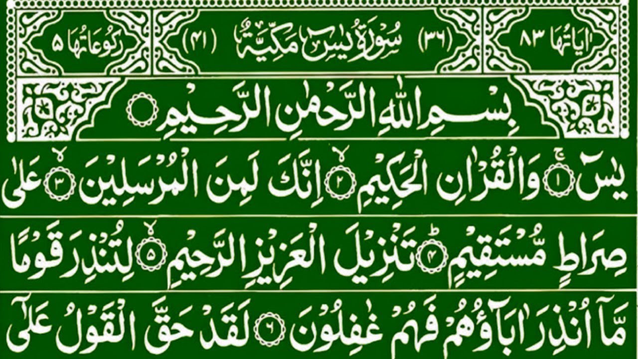 Surah Yaseen Sharif l Surah Yaseen Surah Ar Rahman l Best Qur'an Recitation l Ep 11
