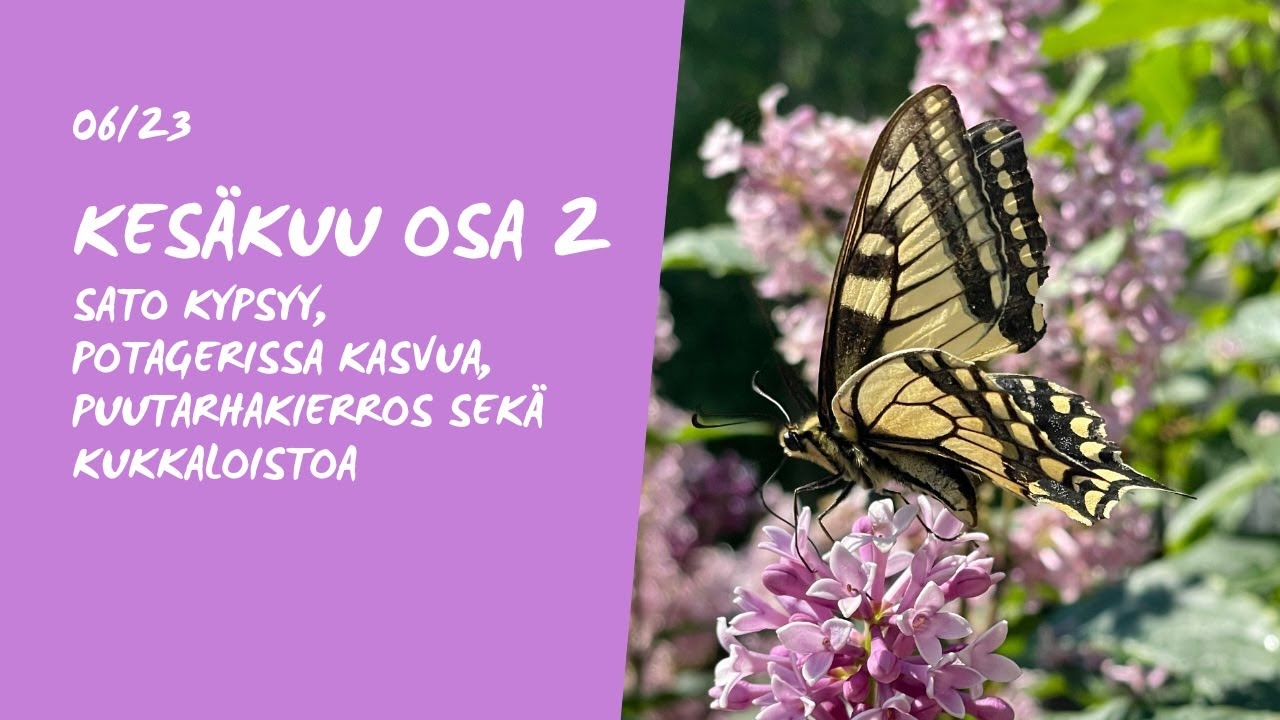 Kesäkuun puutarhapuuhat Osa2 editoituna!