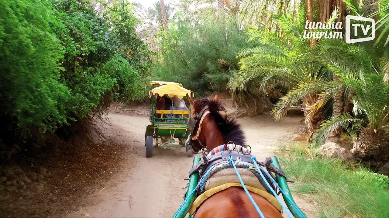 Vacances &agrave; Tozeur