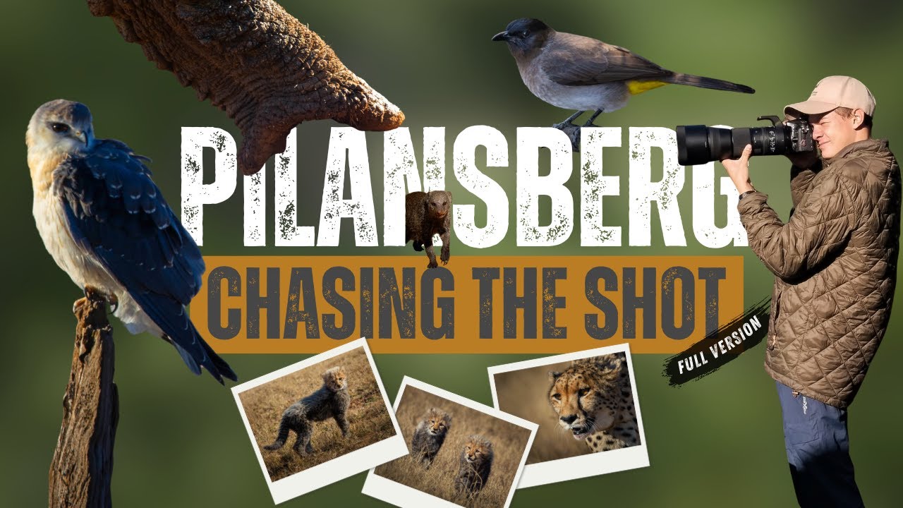 An Epic Photography Adventure Thru Pilanesberg National Park! (Full Version)