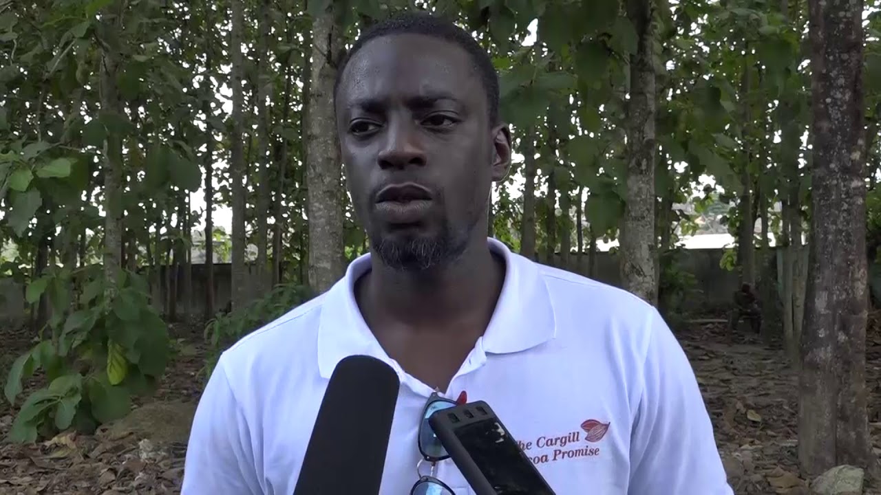 La traçabilité du cacao made in Côte d'Ivoire