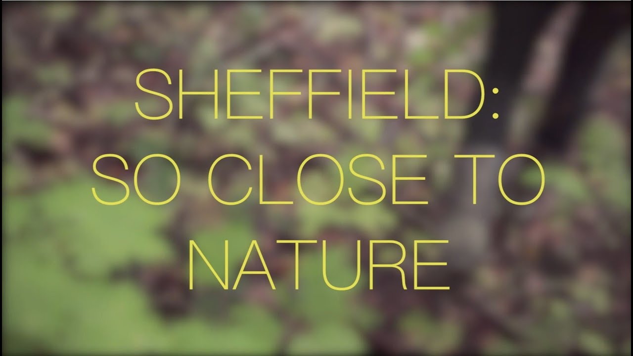 Sheffield: So Close to Nature