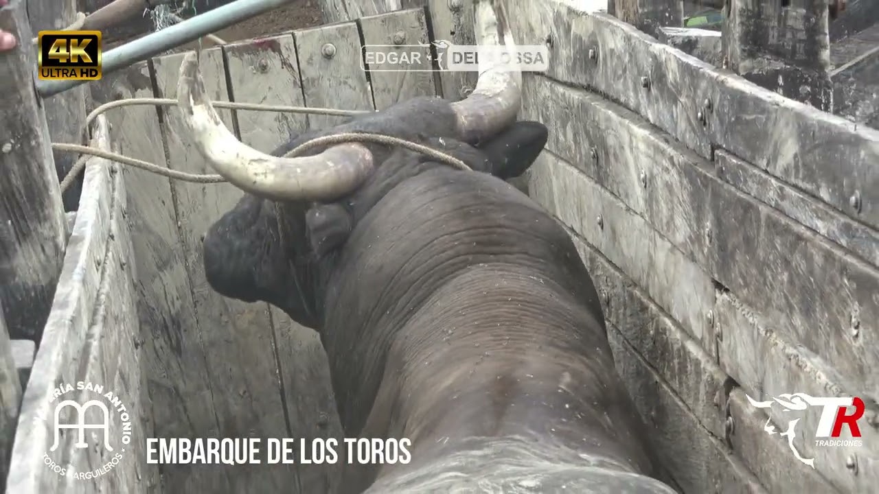EMBARQUE DE LOS TOROS en la Ganaderia San Antonio para Sahagún 2022