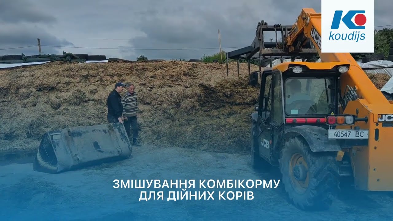 Визначення рівня перетравності кормів у корів