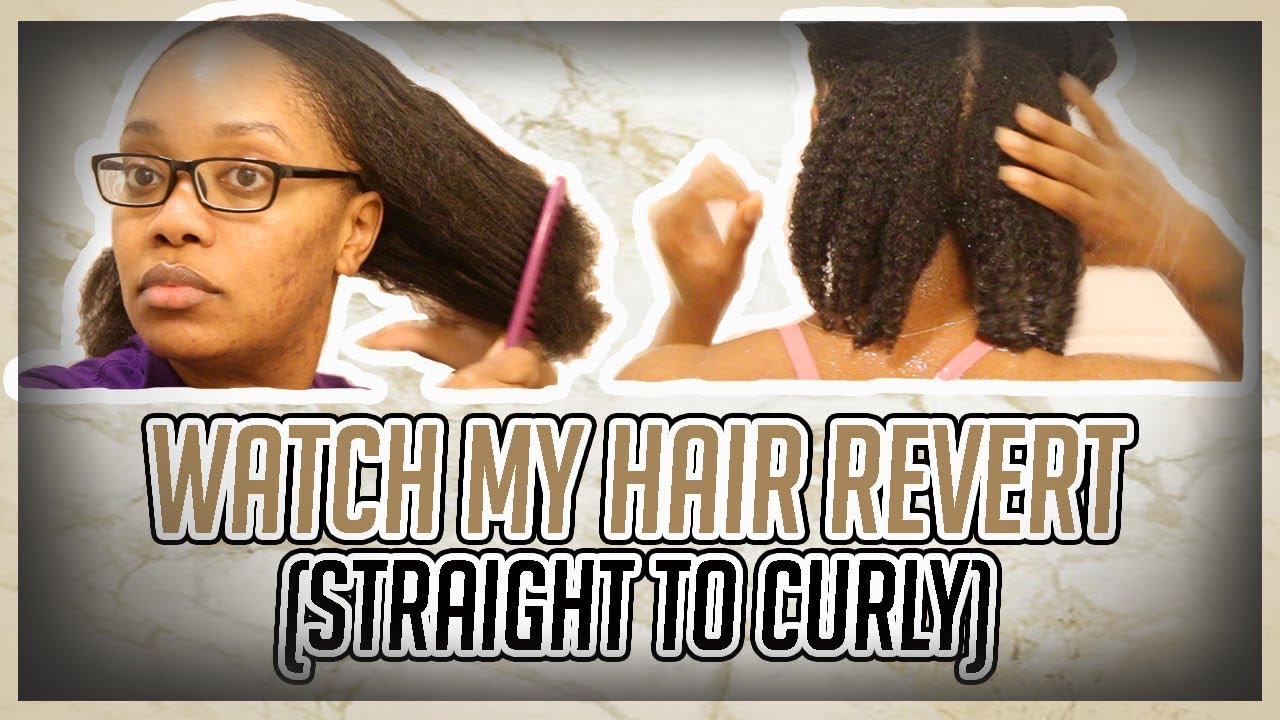 WATCH MY CURLS REVERT (STRAIGHT TO CURLY)