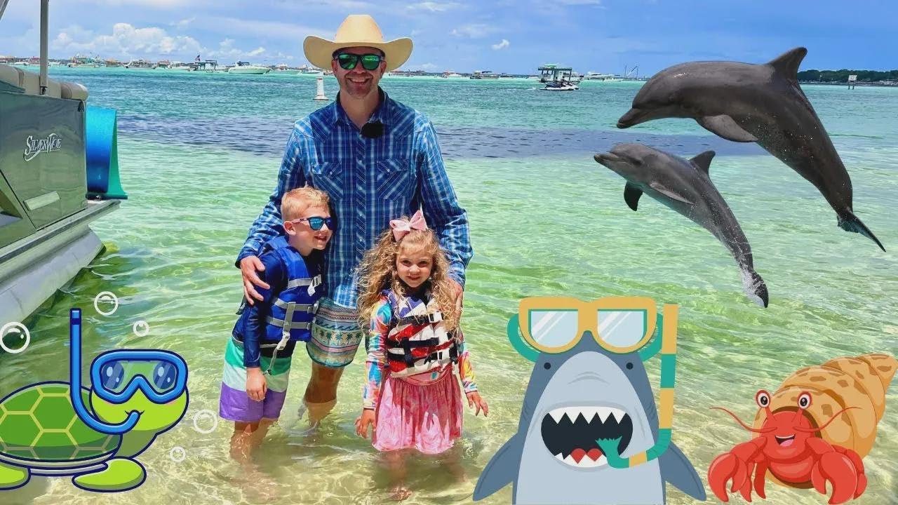 La increíble aventura de Cowboy Jack con delfines: tortugas, tiburones y más en Crab Island!