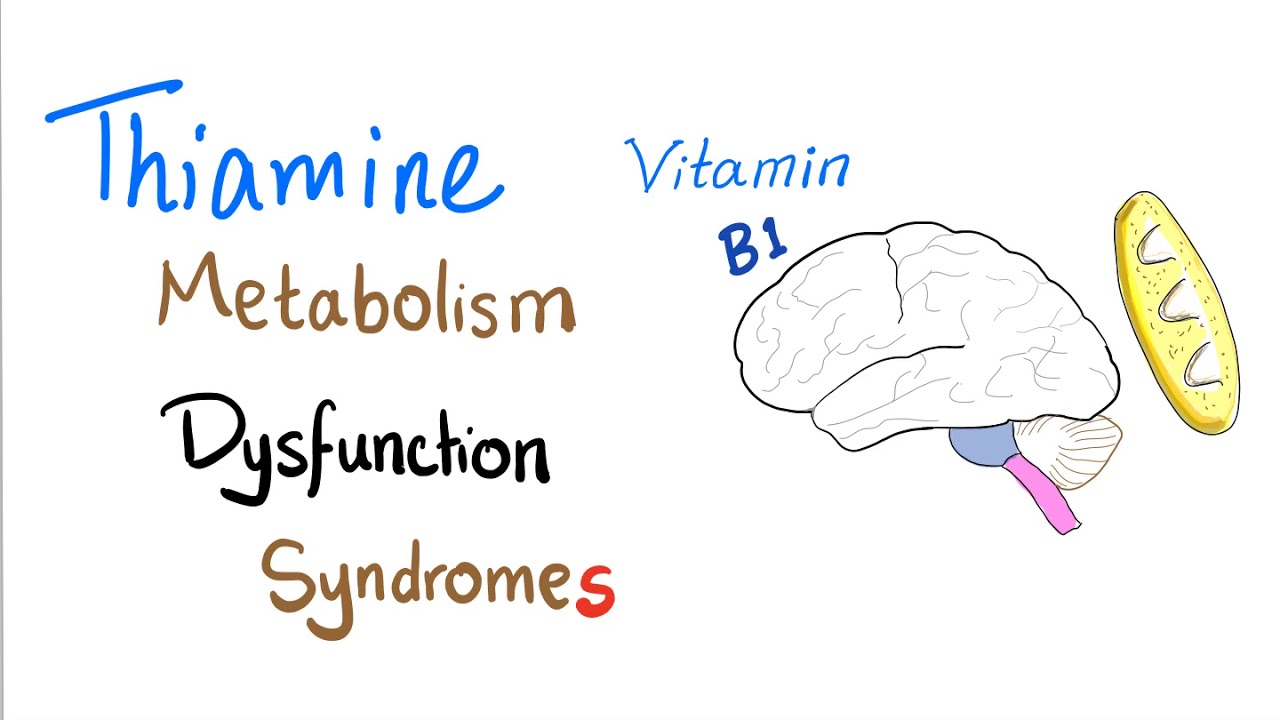 Vitamin B1 - Thiamine Metabolism Dysfunction Syndromes