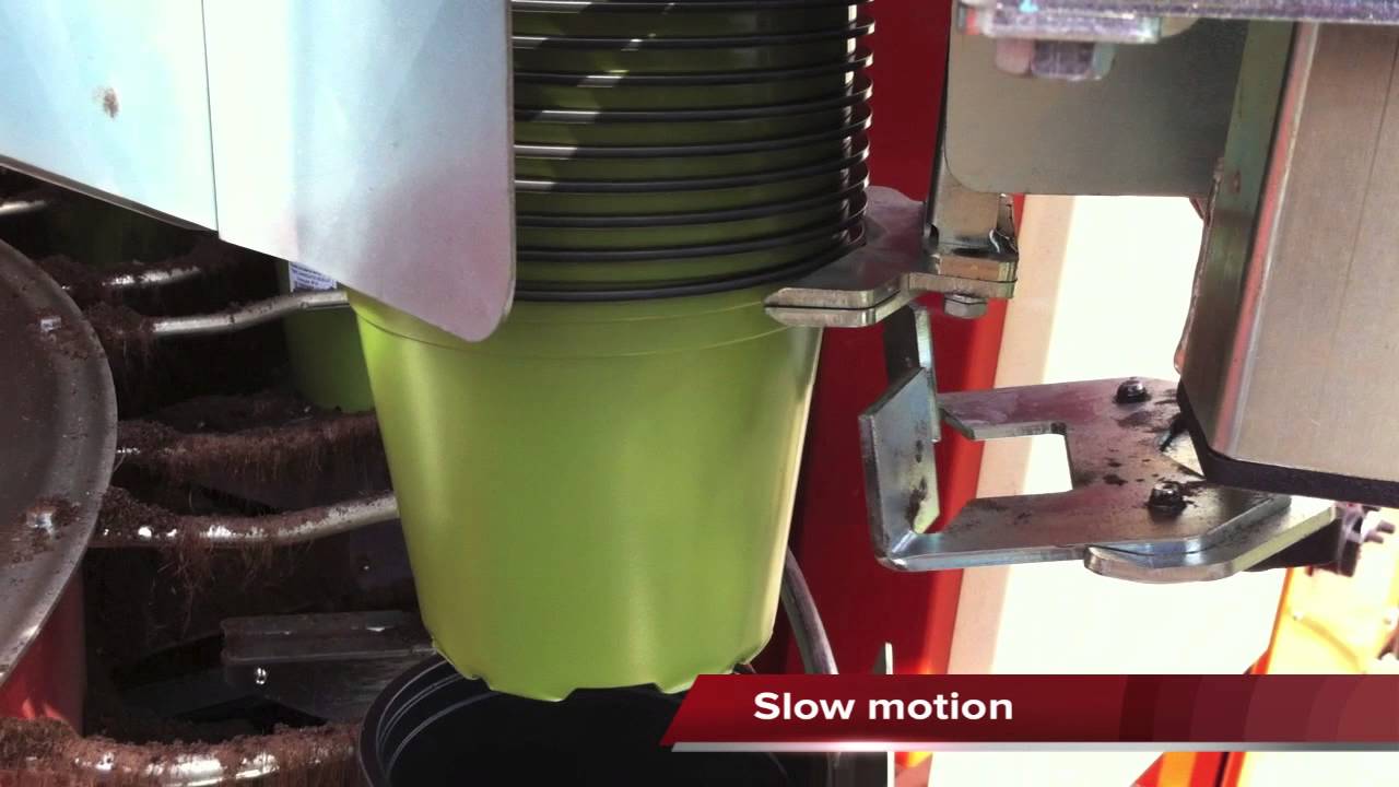JAVO Potdispenser MPO Javo - 720p