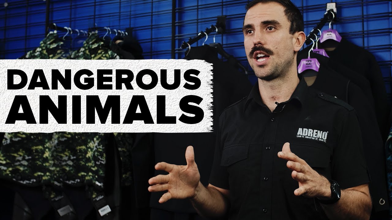 Dangerous Animals | ADRENO