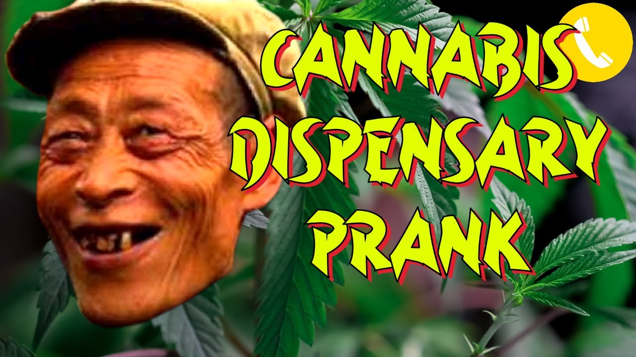 Docthal Calls a Cannabis Dispensary - Prank Call