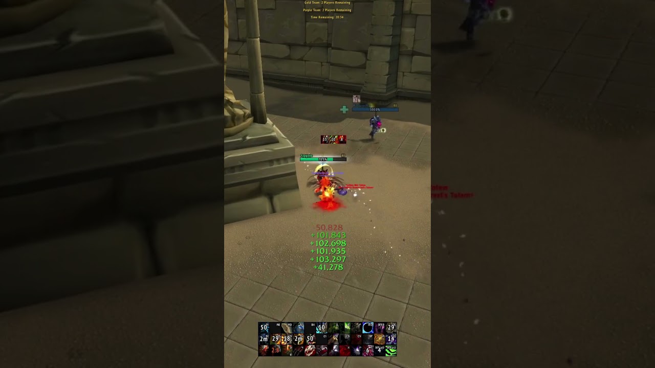 Feral Druid's Be Lovin&rsquo; Them Bleeds #worldofwarcraft #wow #arena #pvp #shorts #short #games #game