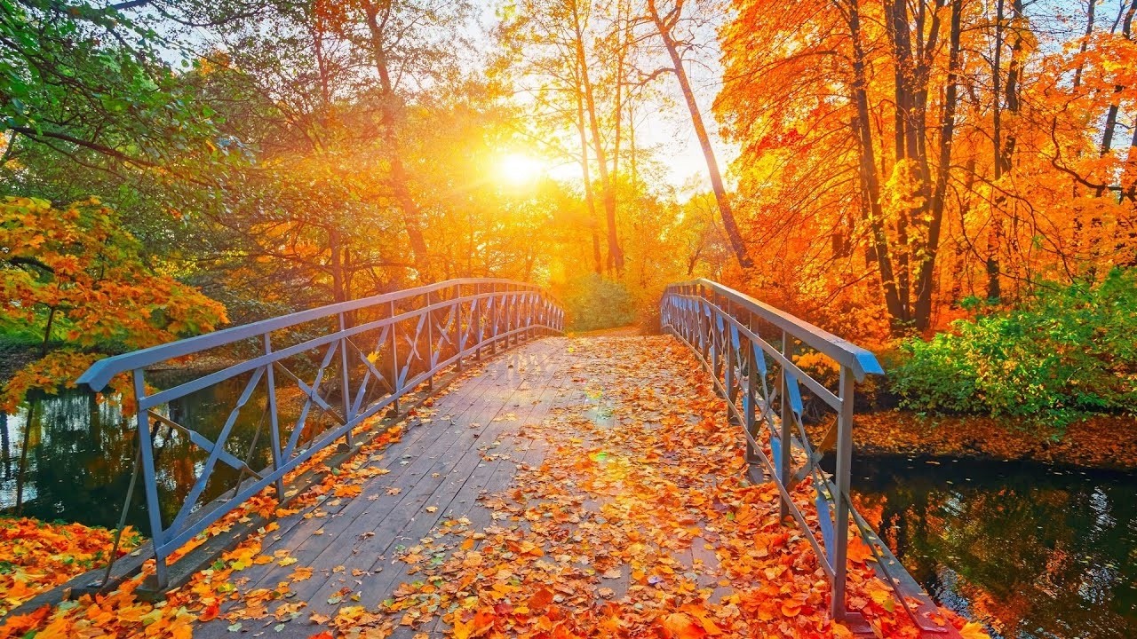 Beautiful Relaxing Hymns, Peaceful Calm Music, 