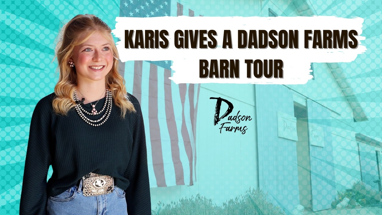 Karis Dadson gives a barn tour of all our showpigs and sows. #barntour #barn #showpigs
