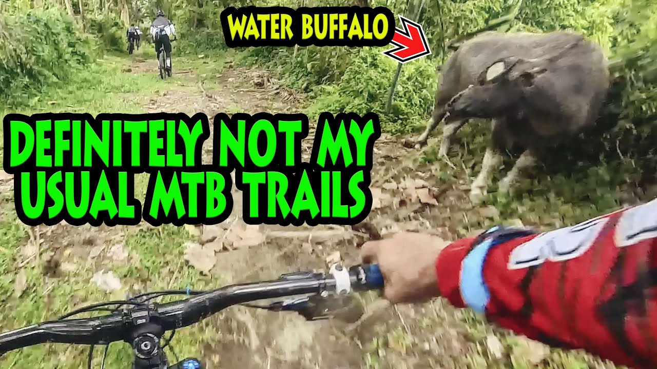 Experiencing Philippines MTB - Raw and Fast Downhill Trails of Alangilan, Bacolod City
