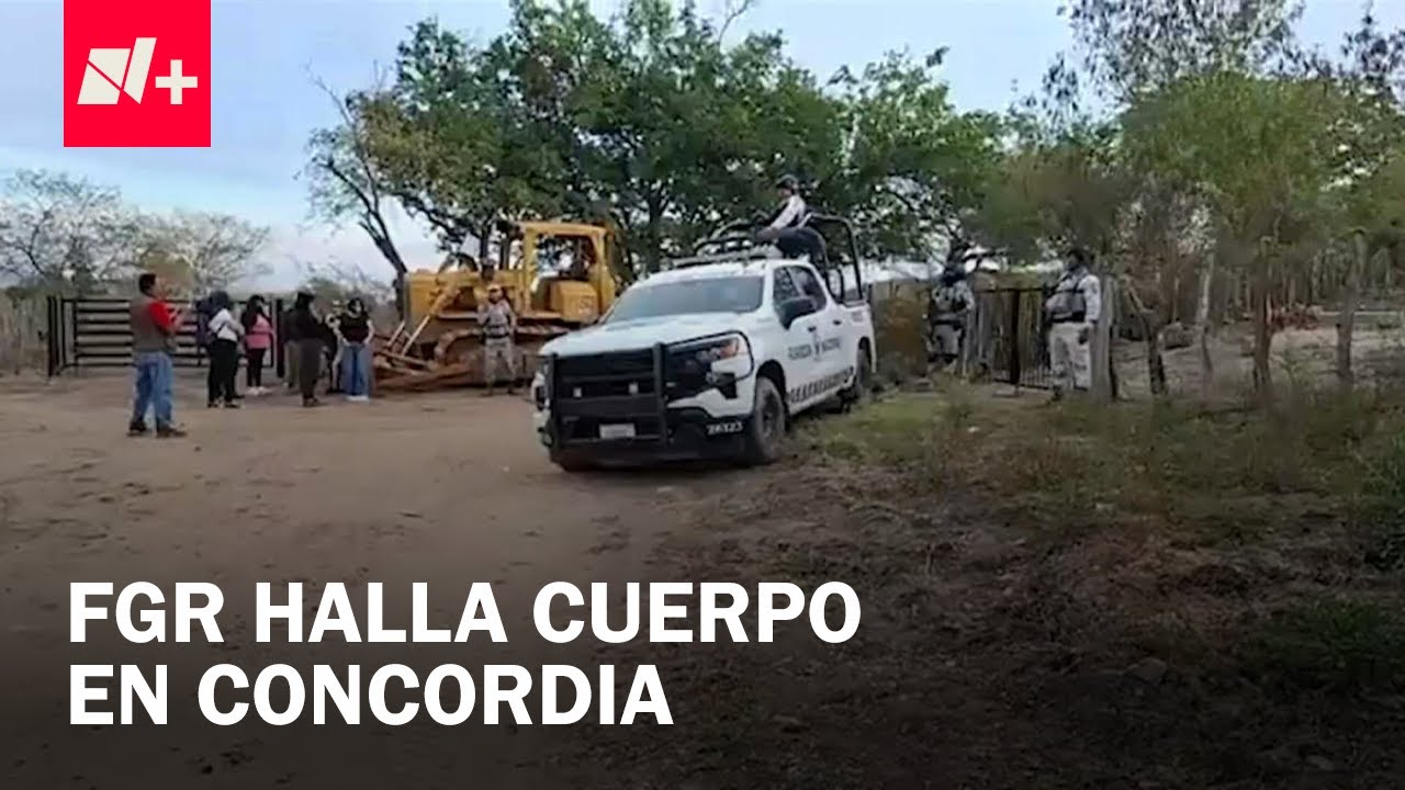Hallan Cuerpo con Características Similares a Uno de los 10 Mineros Desaparecidos, en Sinaloa