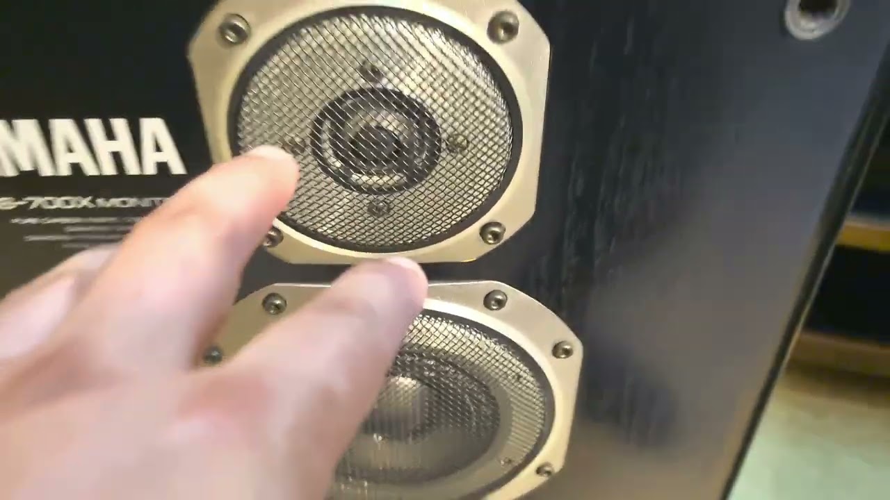 Yamaha ns-700x