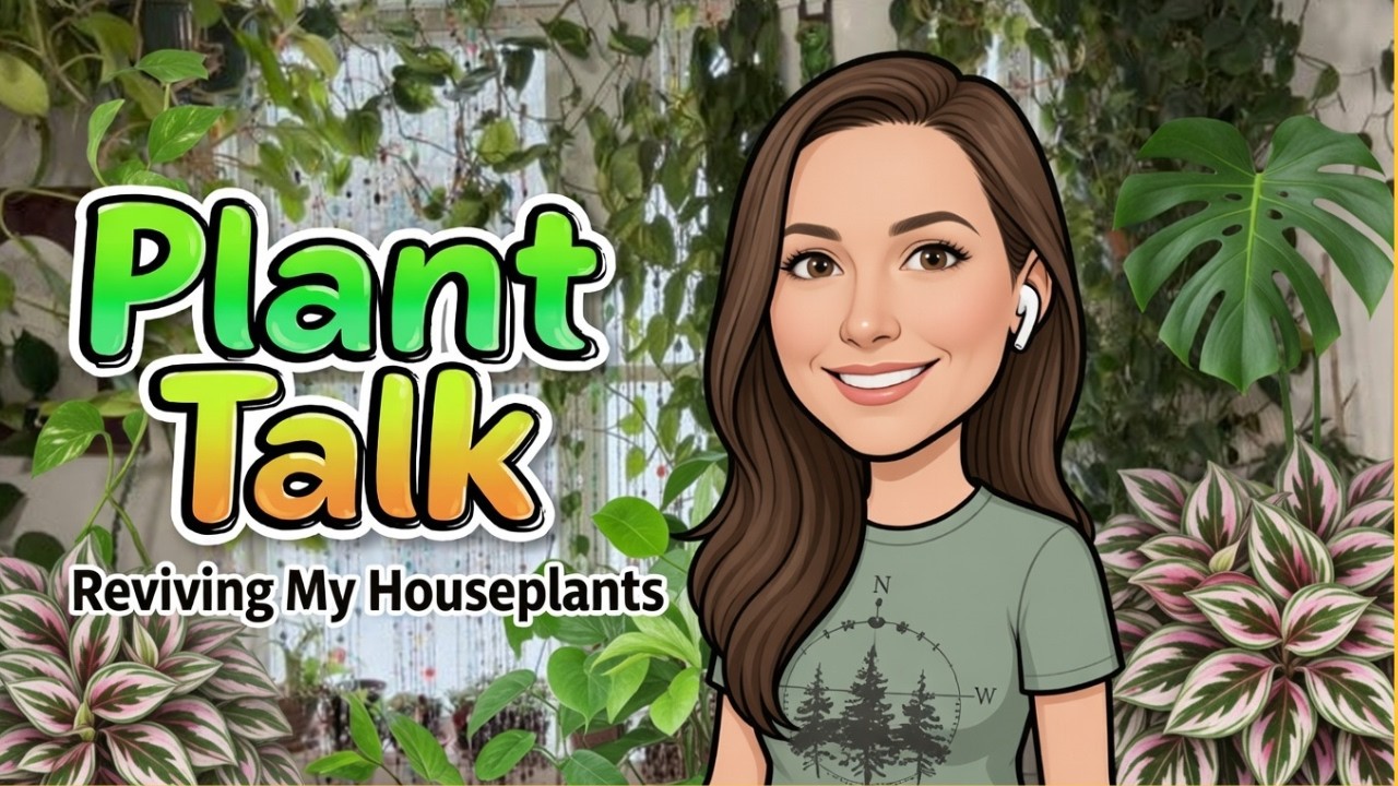 I'm BACK! Saving My Dying Pothos, Monstera & Tradescantia (Revival Tips!)