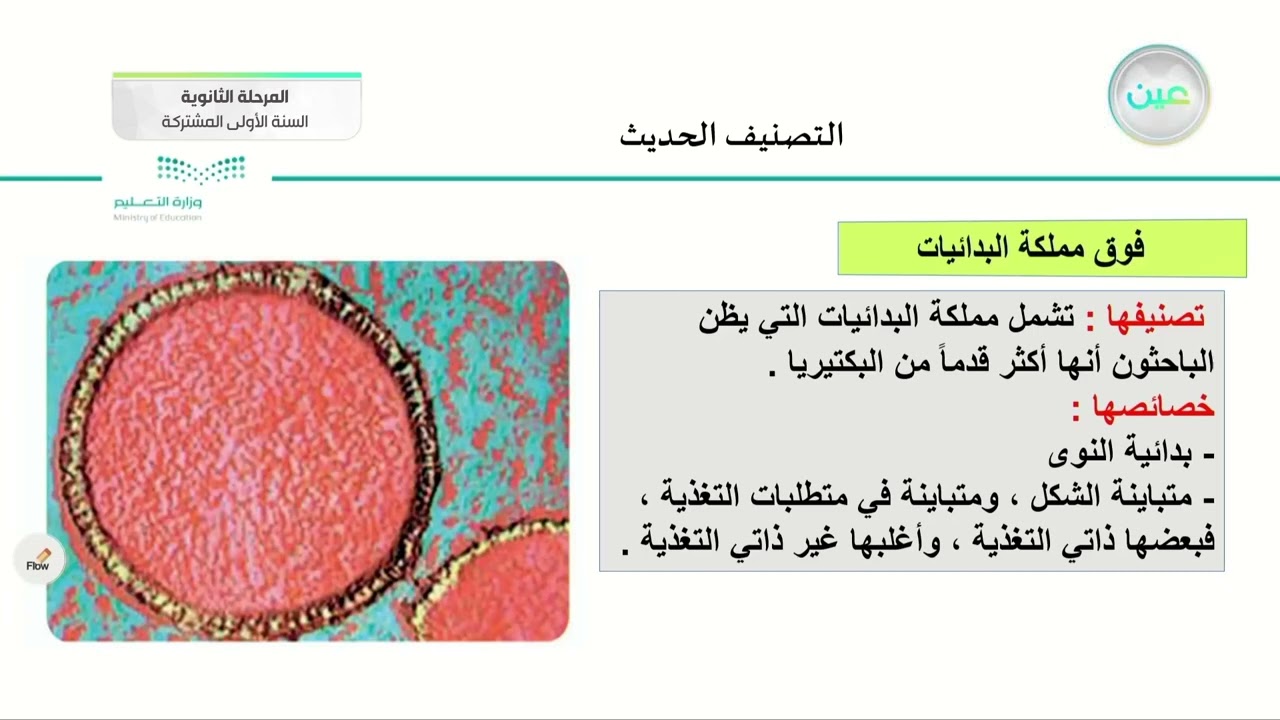 التصنيف الحديث - أحياء (1) - السنة الأولى المشتركة