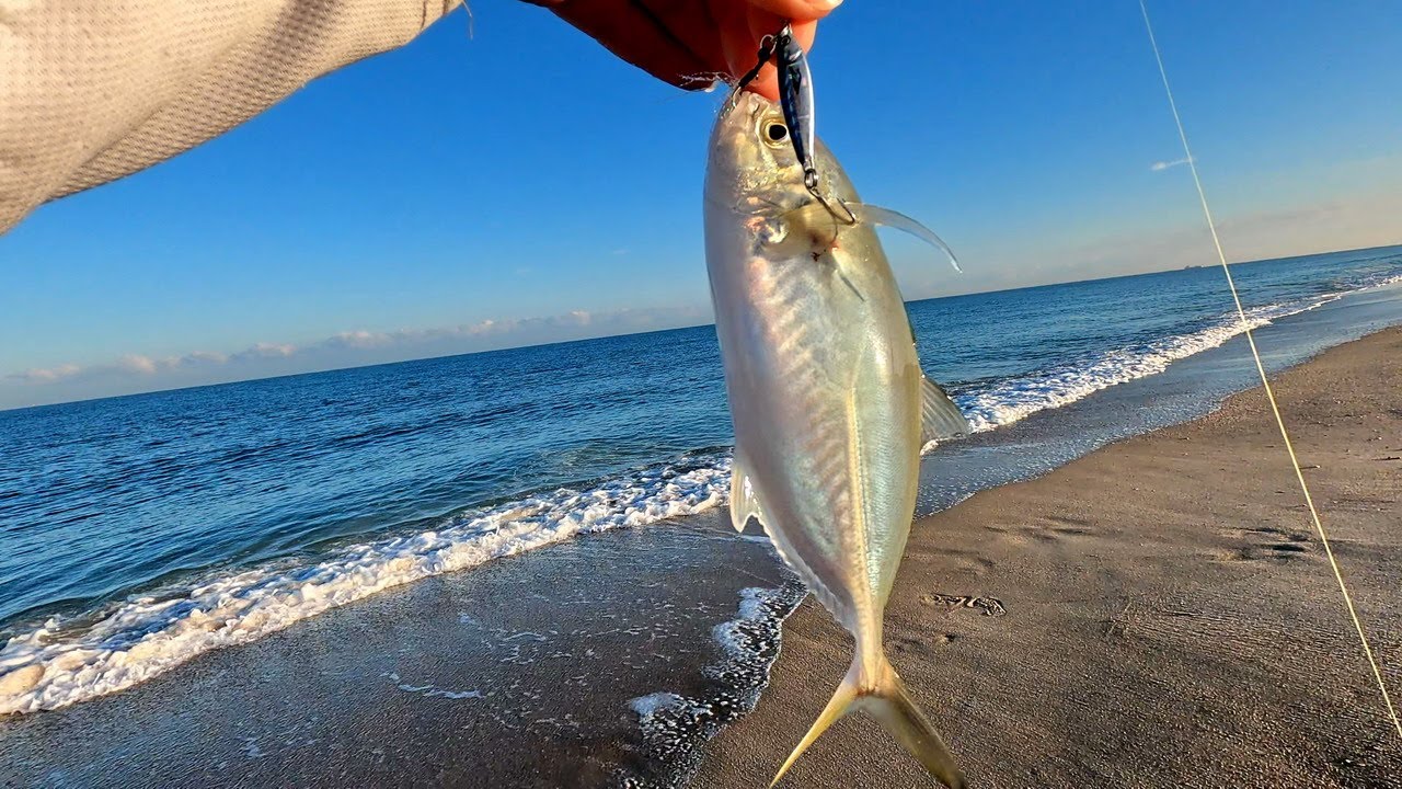 בוקר ג'יג אולטרה לייט נוסף בחוף עם טרחונים 🐟Another Blue Runners Ultralight Shore Jigging HE/EN Subs