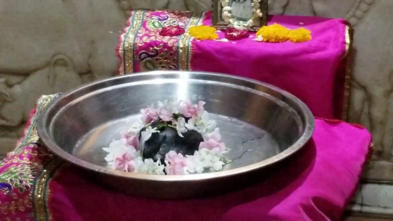 Shri Narsingh Shaligram Abhishek on Narsingh Chaturdashi,  Shri Gokulanand Temple,  Vrindavan