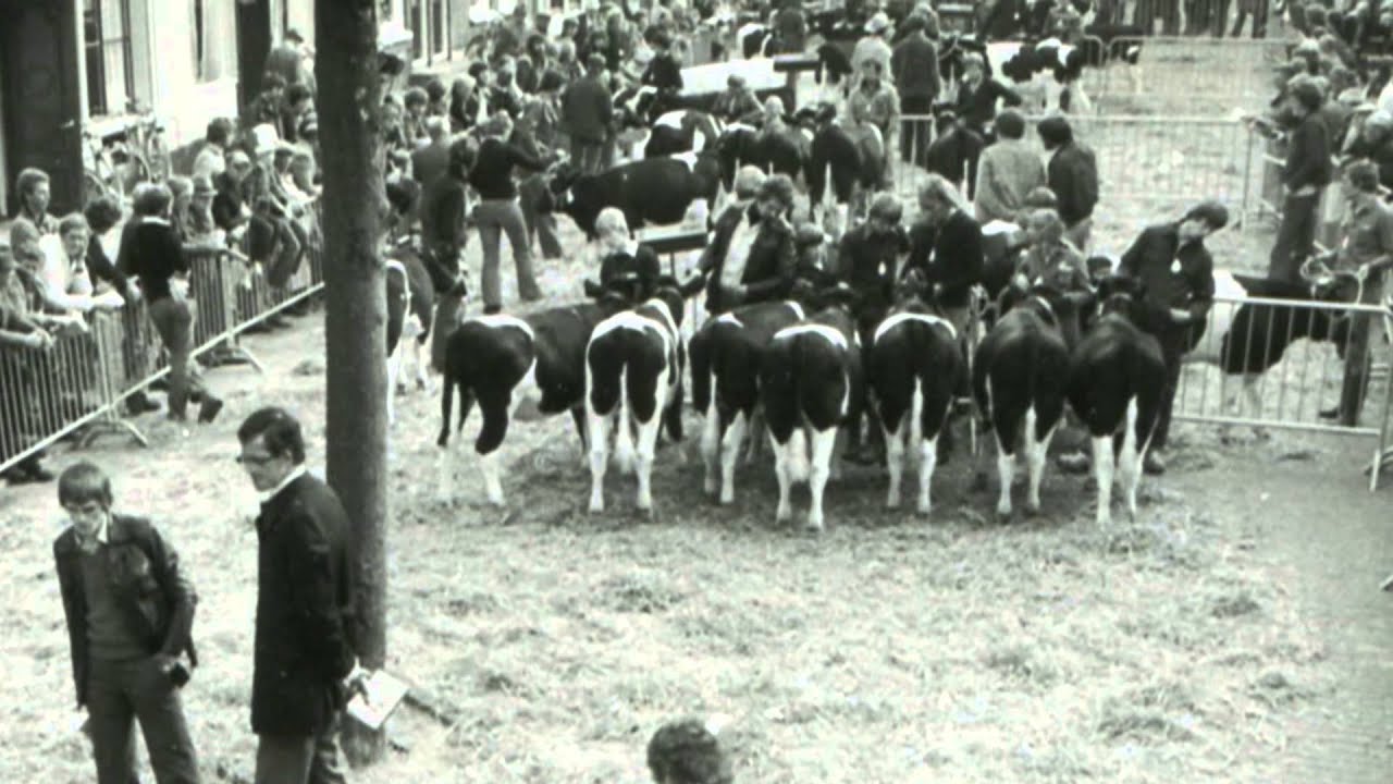 Bolletongersdei Bolsward