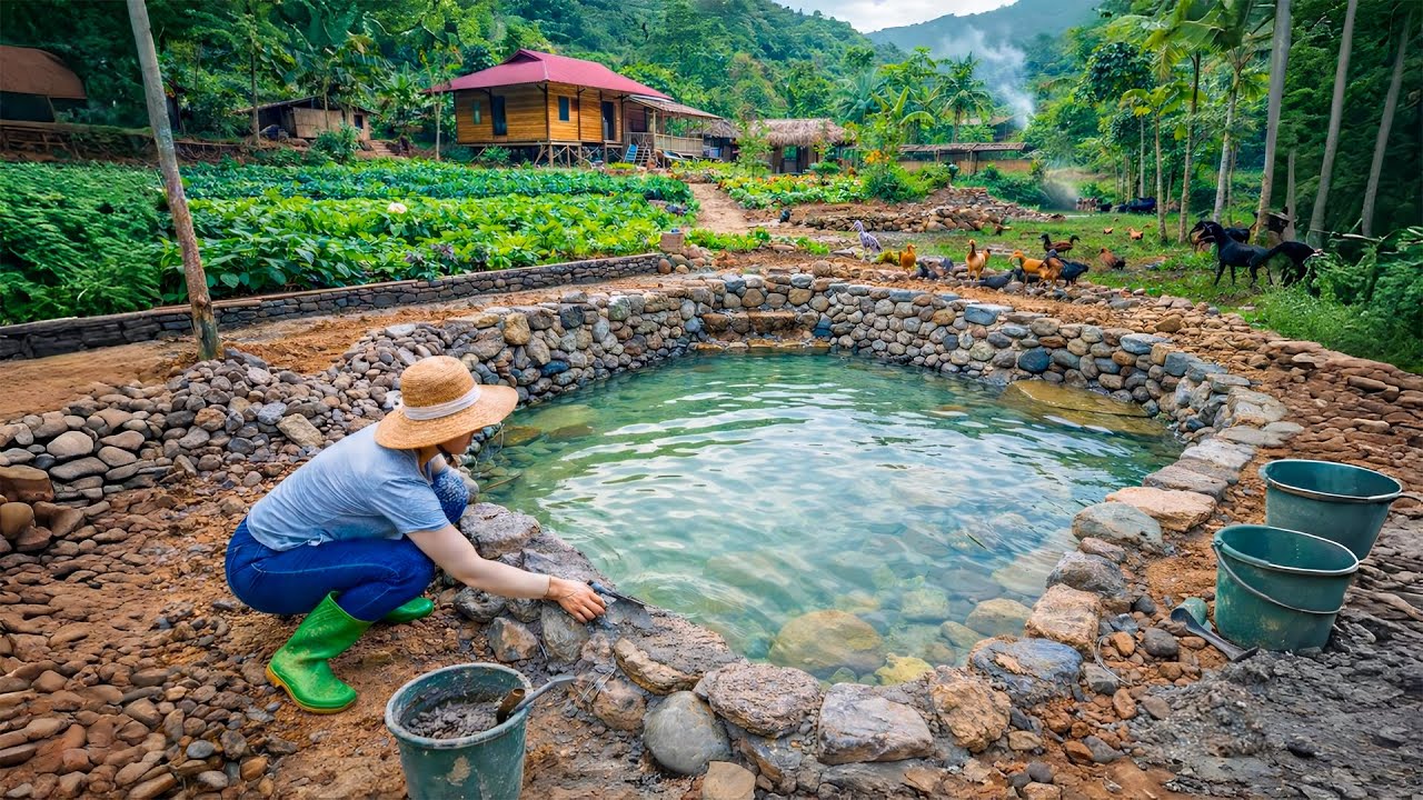 Designing Building and Completing a Koi Pond in the Forest While Caring for Plants and Animals
