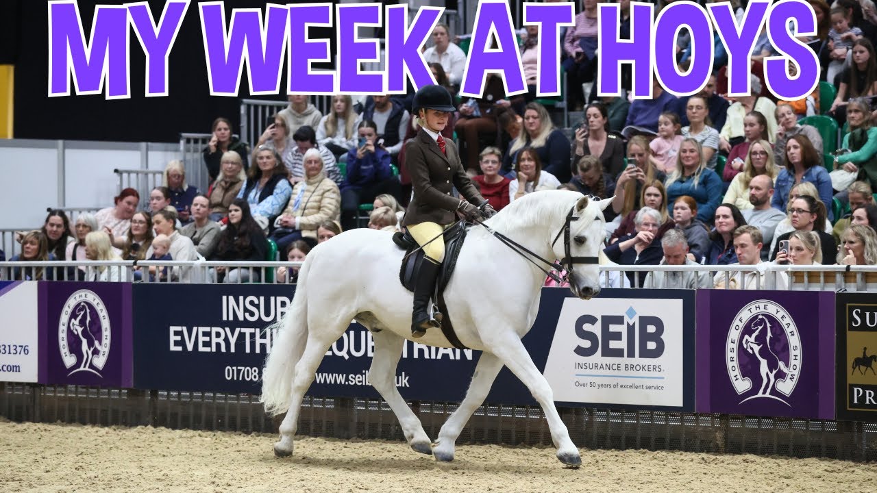 I CAN’T BELIEVE THIS… WE WON AT HOYS!! 😭💫