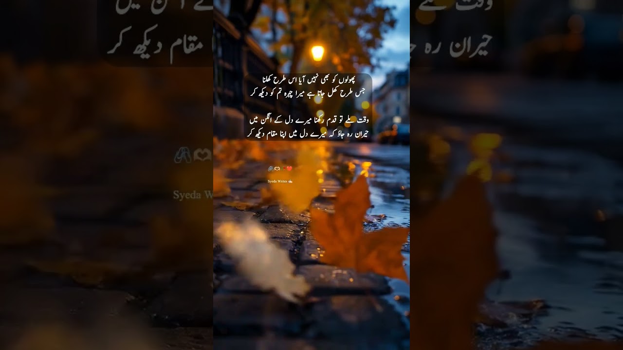 Urdu poetry video 