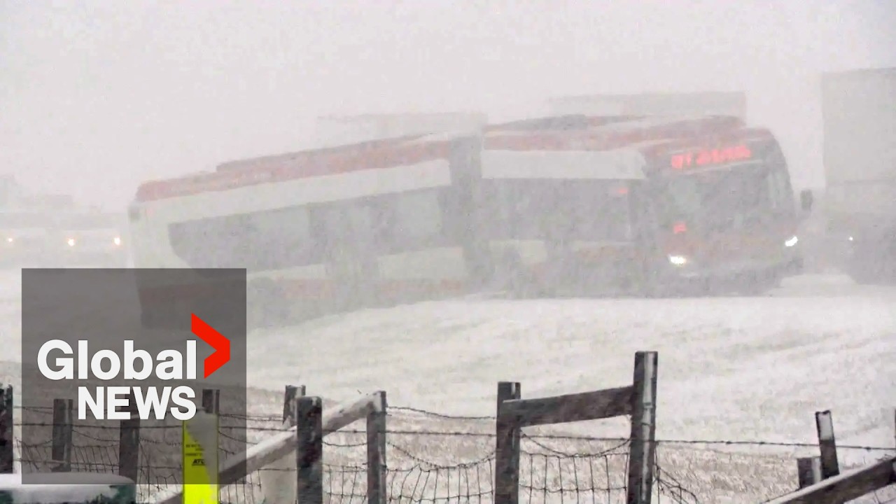 Calgary hit by unexpected blast of spring snow, causing dozens of crashes