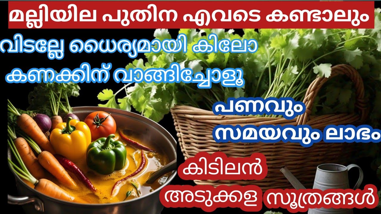 മല്ലിയില ഇങ്ങനെ ചെയ്തനോക്കൂ ഒരു പാട് സമയവും കാശും ലാഭിക്കാം | sheri's world of taste and talents