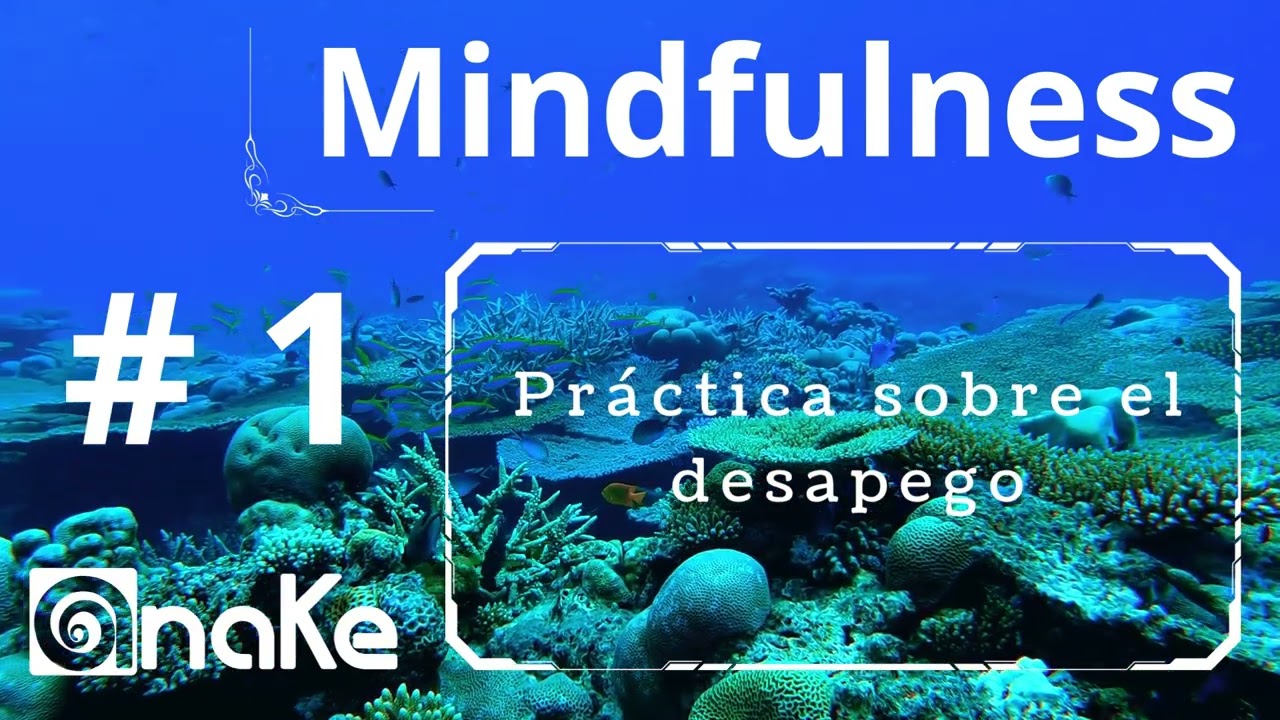 1  Práctica sobre el desapego
