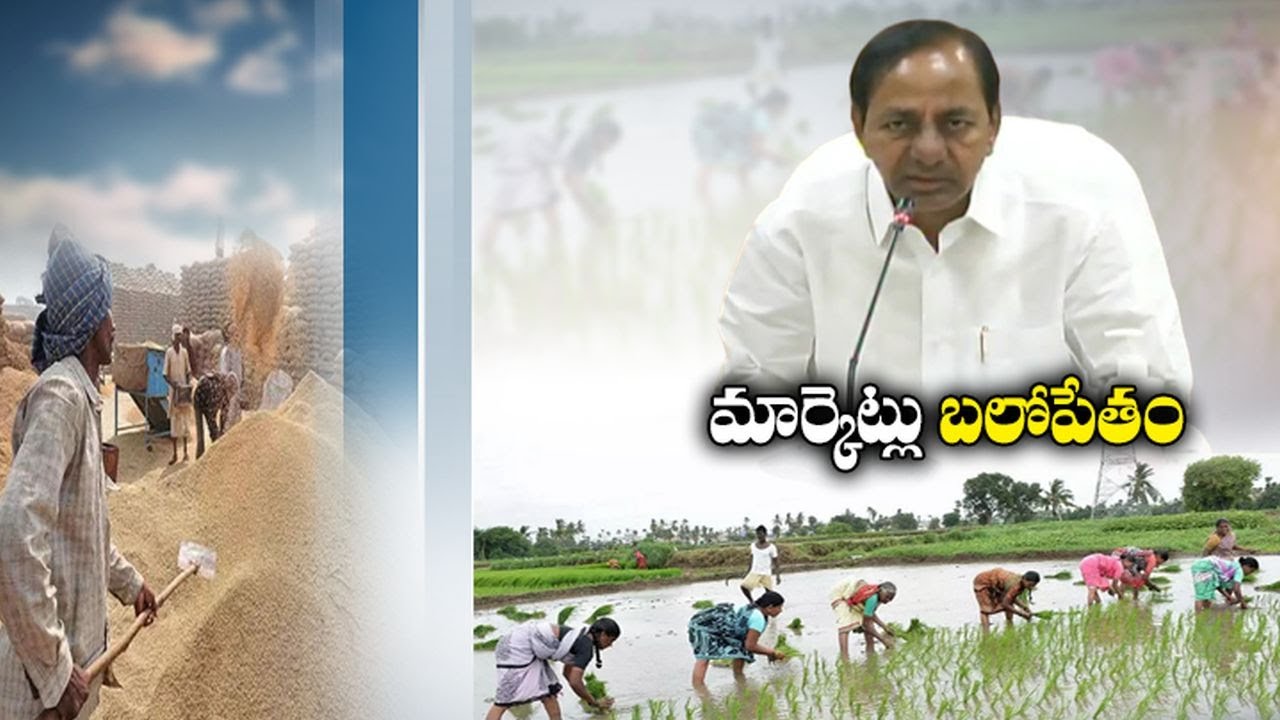 Prepare Development Plans for Marketing |  CM  KCR