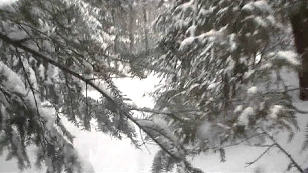 Les p&eacute;rilleuses aventures des Boucher