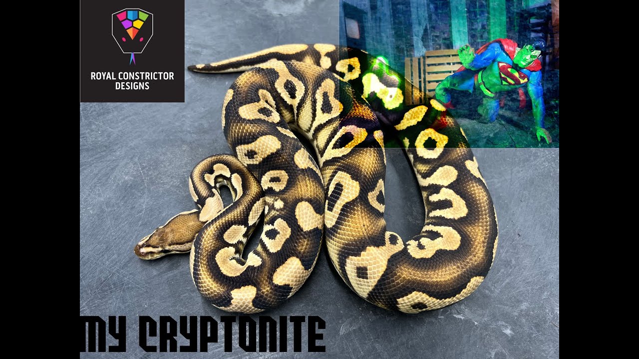 Holy Cryptonite! Check out this project...
