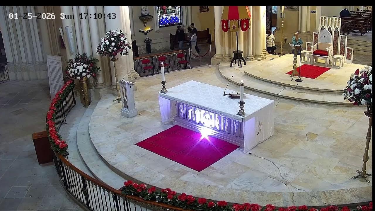 Transmisión Eucaristía Basílica de Lourdes   2026