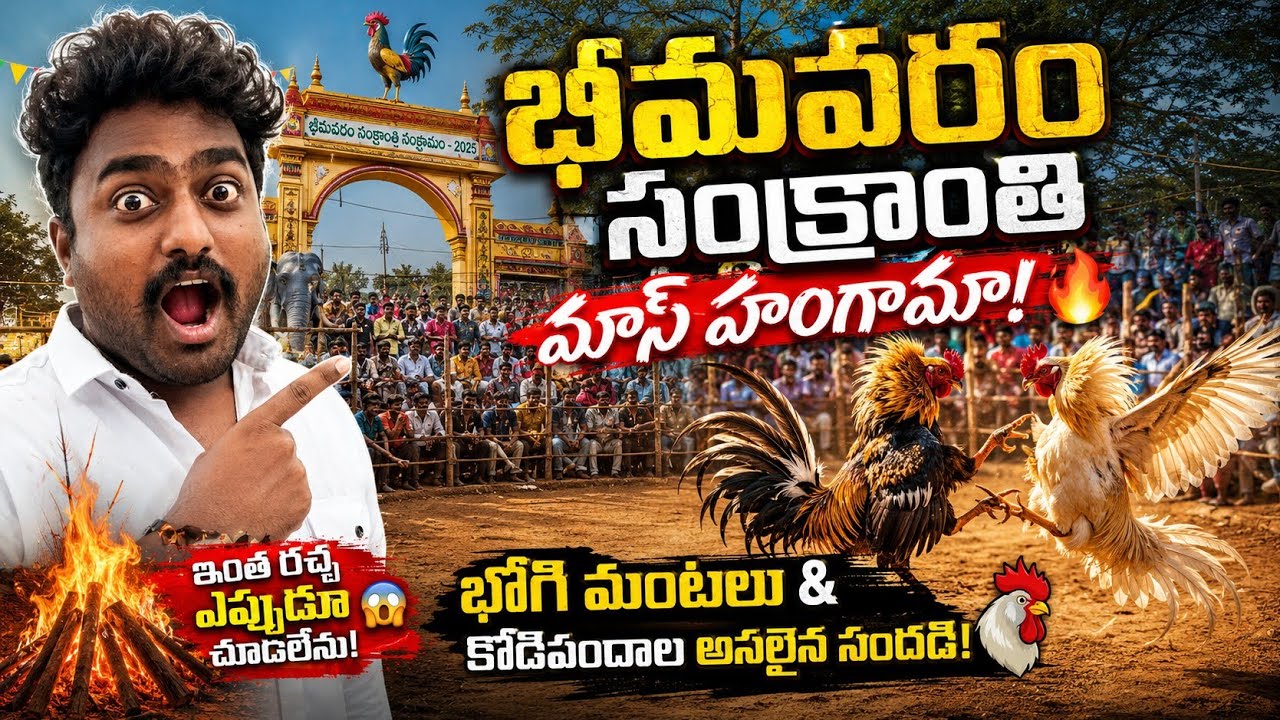 భీమవరం సంక్రాంతి మాస్ హంగామా! 🐓 భోగి మంటలు & కోడి పందాల అసలైన సందడి 🔥|Part -2 | @Balu_Vaddi 