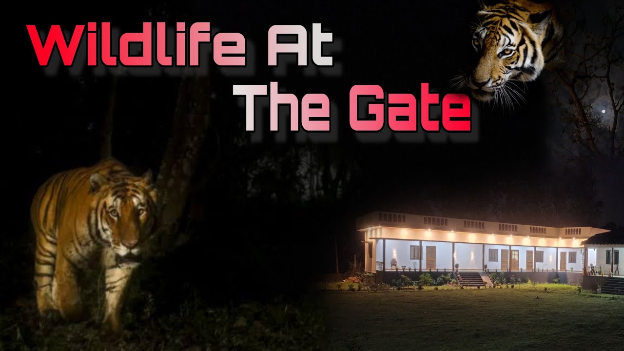 A Homestay Next to Jungle - 