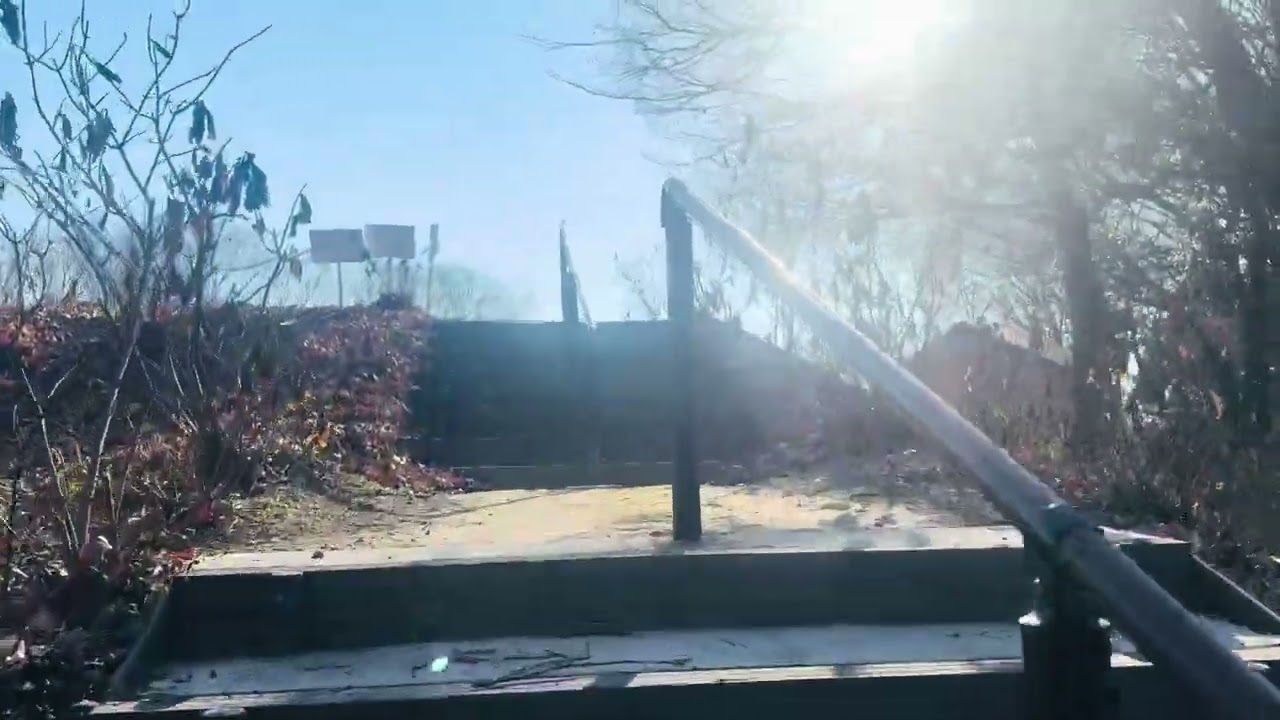 Walking along the park path in the golden sunshine.