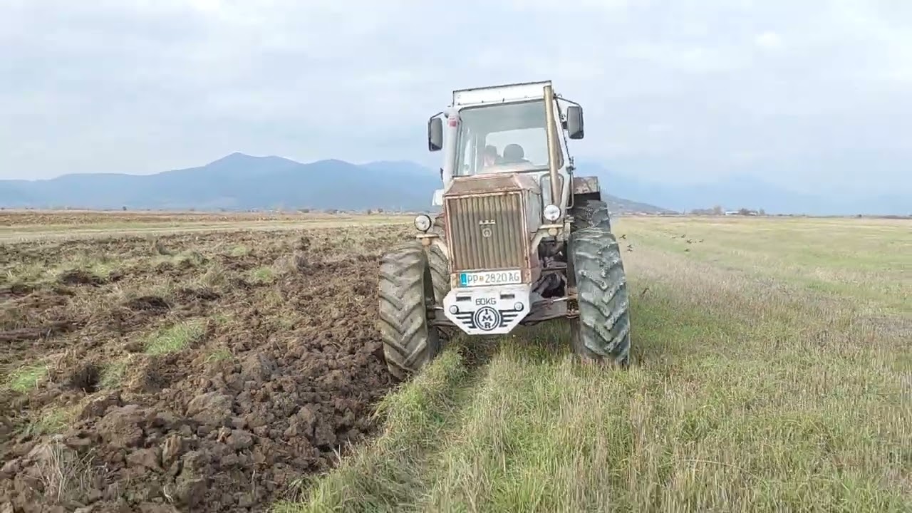 IMR RAKOVICA 135 TURBO (MOTOR MERCEDES OM 366) ORANJE PLOWING DABJANI 2024 ALEKS NESKOSKI