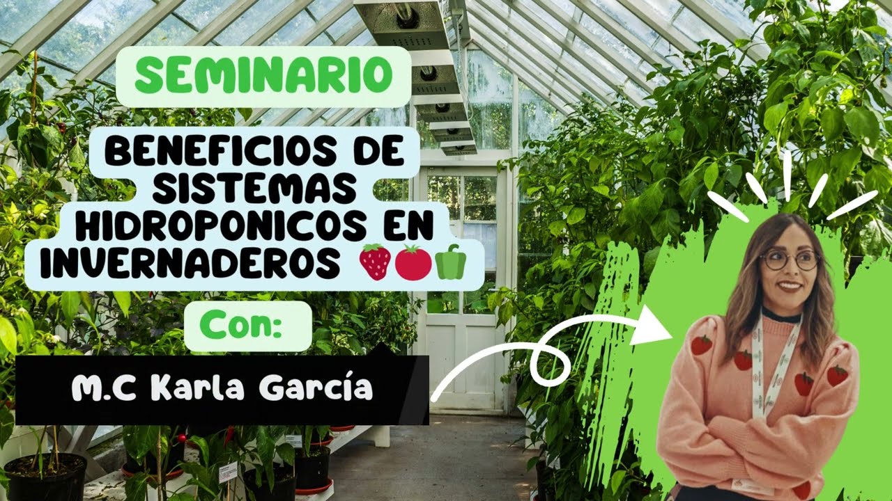 Beneficios de sistemas hidroponicos en Invernaderos 🍓🍅🫑