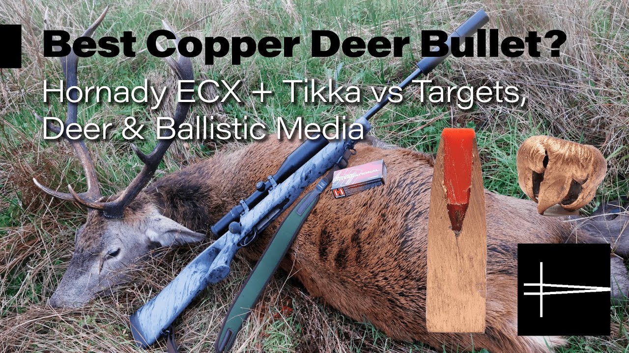 Best Copper/Lead Free Deer Bullet? Hornady ECX + Tikka Ballistic Media Test and Red Deer