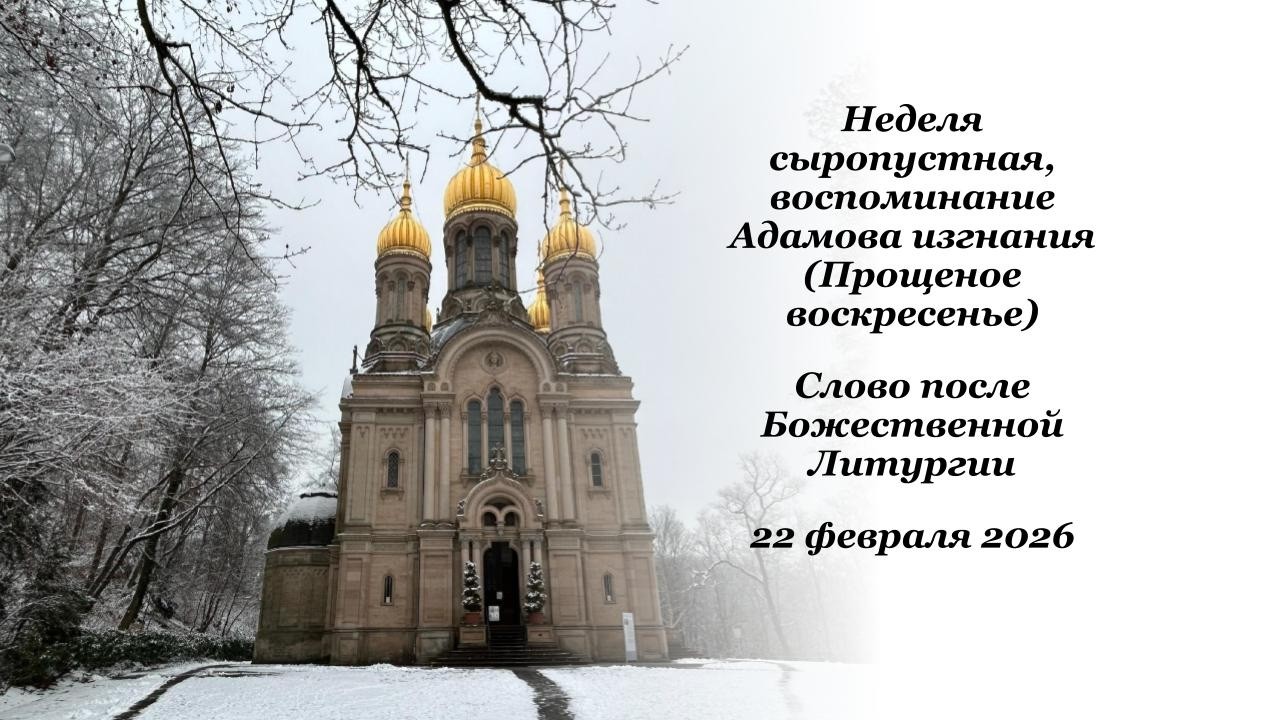 Неделя сыропустная -  Прощеное воскресенье - Слово после Божественной Литургии - 22.02.2026
