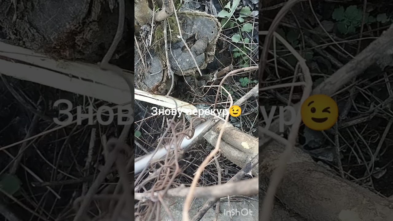 Будні сільської жінки😉
