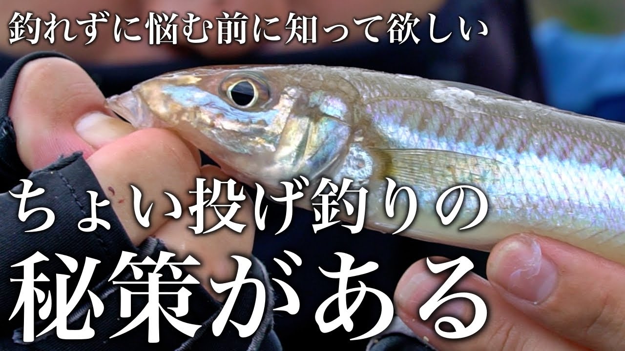ちょい投げ釣りの秘策=魚の群れを見つけること。具体的にどうしたらいいのかを教えます。