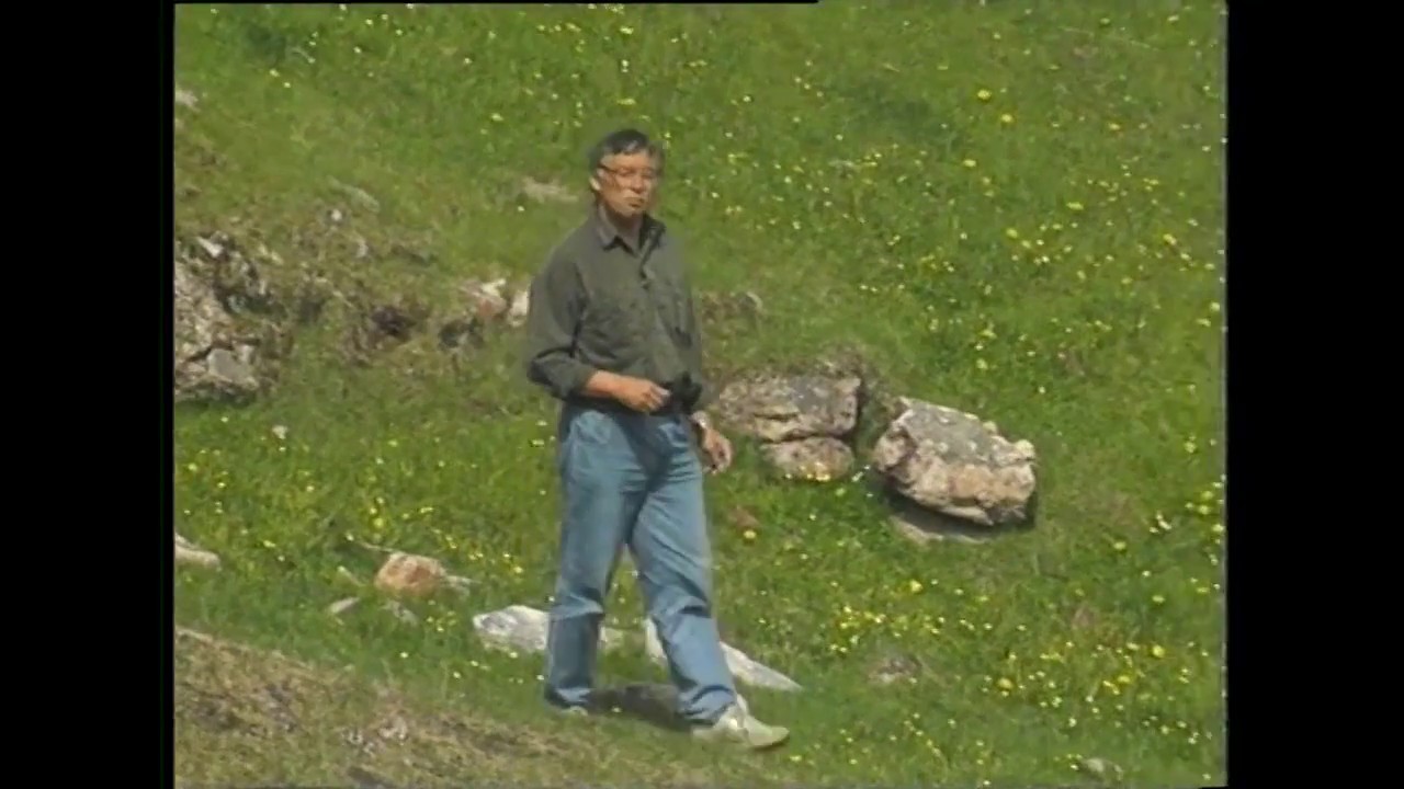 Qassiarsuk Tasiusarlu, KNR maaji 1991
