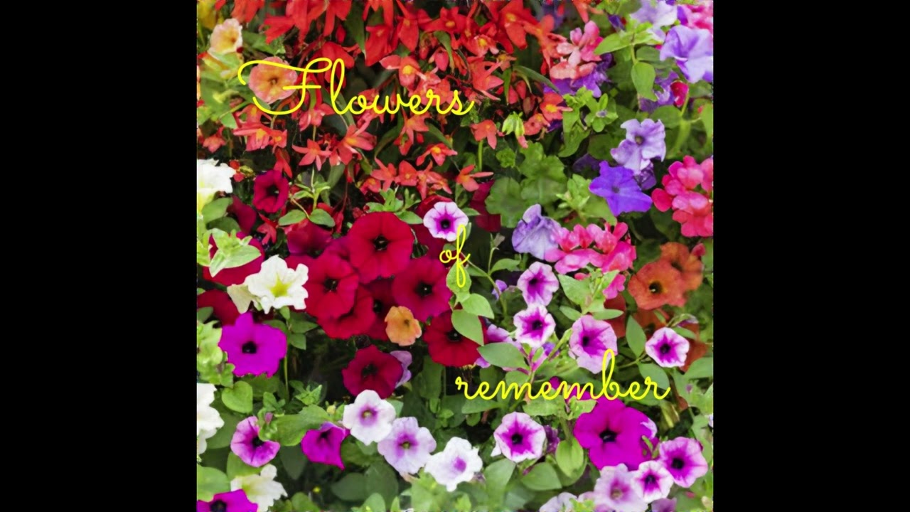 Flowers of remember