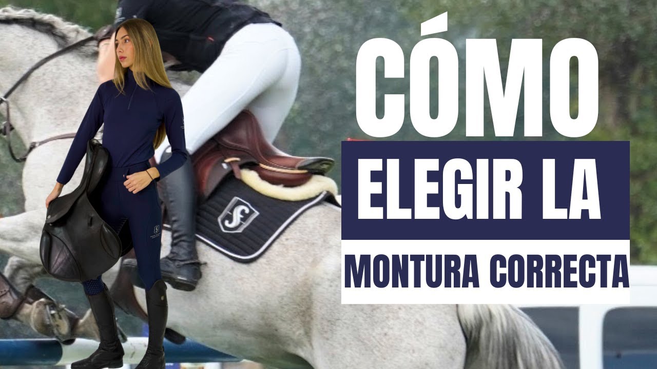 ¿Es Hora de Cambiar la Montura de tu Caballo? 🐎 Señales Clave que Todo Jinete Debe Conocer
