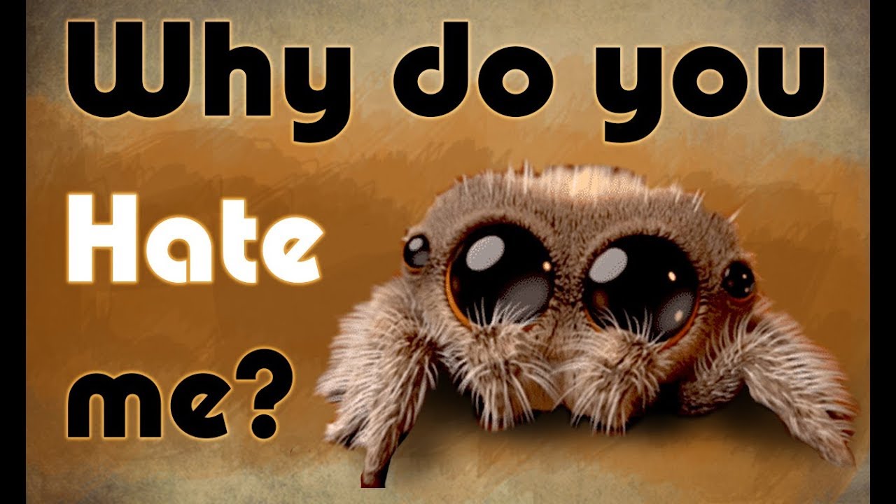 When the Spider was admired