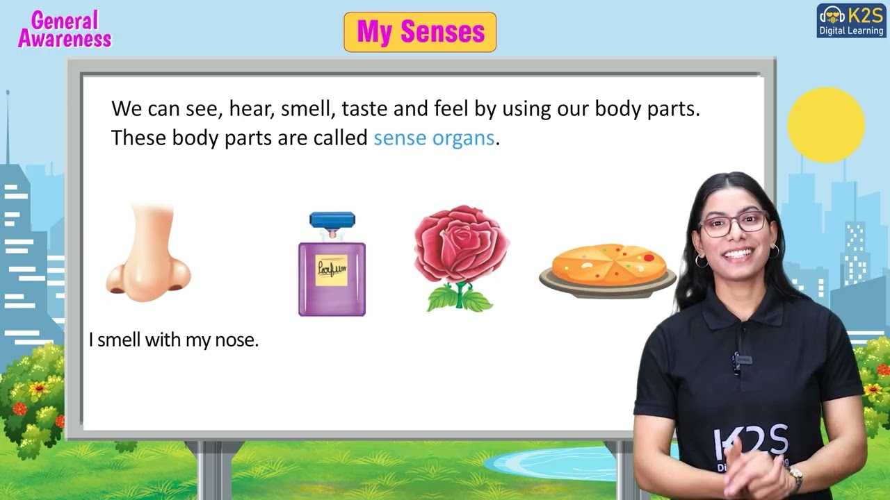My Senses